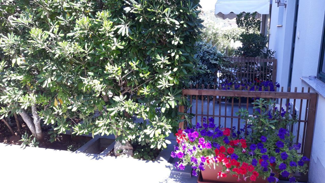 Apartments Suljic - Cash Only Property Stari Grad  Bagian luar foto